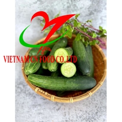 DƯA LEO