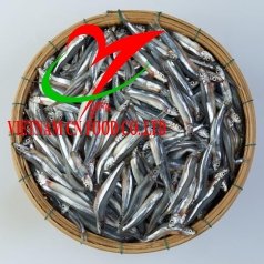 CÁ CƠM