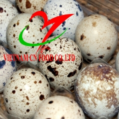 TRỨNG CÚT 