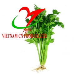 CẦN TÀU