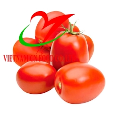 CÀ CHUA ĐÀ LẠT