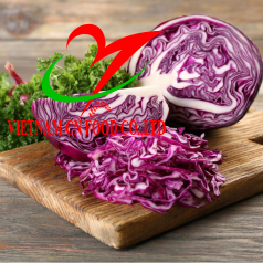 BẮP CẢI TÍM 