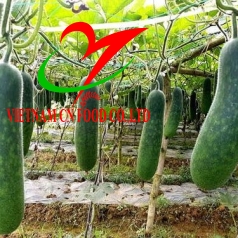 BÍ XANH