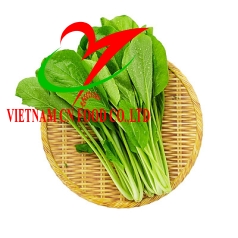 CẢI NGỌT