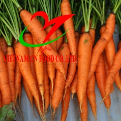 Cà Rốt 