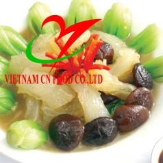 GÂN BÒ