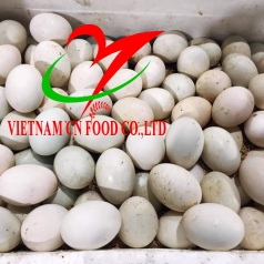 TRỨNG VỊT 
