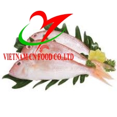 CÁ HƯỜNG 