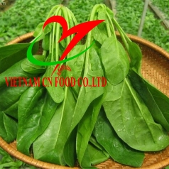 CẢI BÓ XÔI ( RAU CHÂN VỊT )
