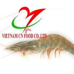 TÉP BẠC 