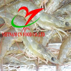 TÔM THẺ