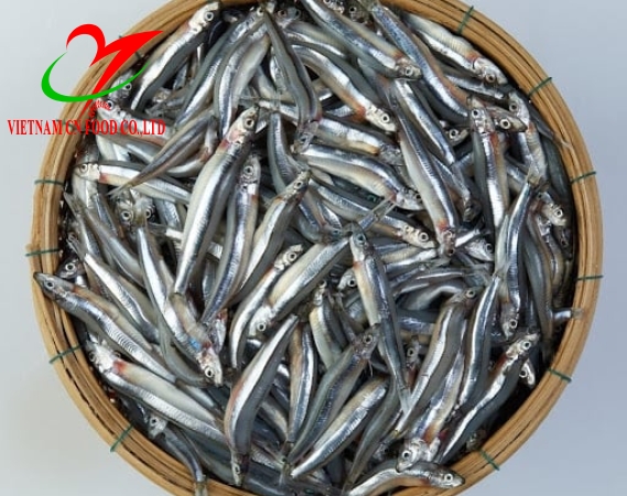 CÁ CƠM