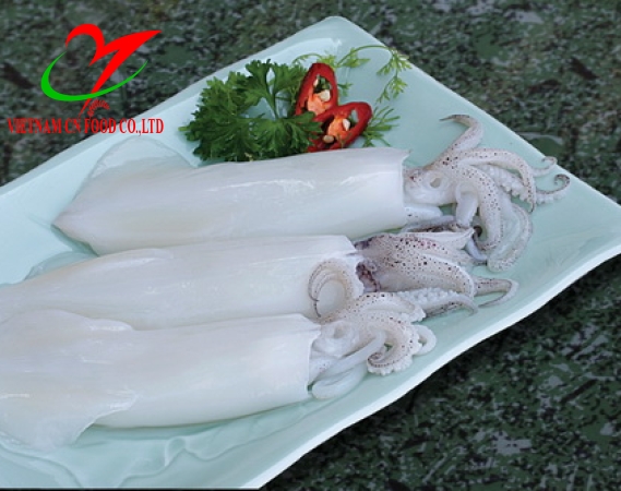 MỰC LÁ 