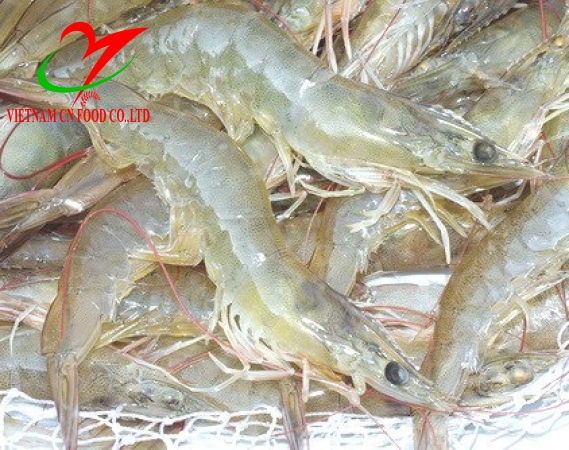 TÔM THẺ